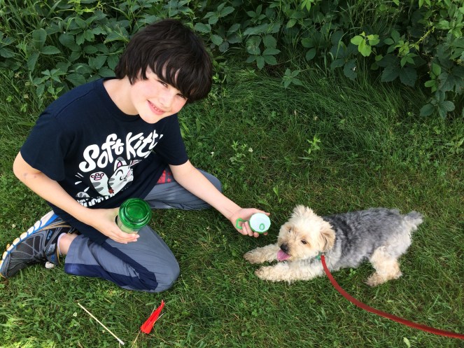 16 01 walking off a high.jpg