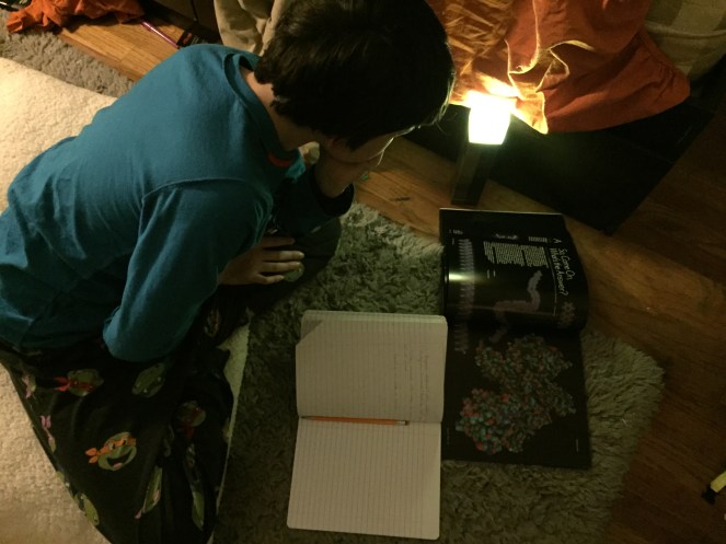 04 06 molecule study