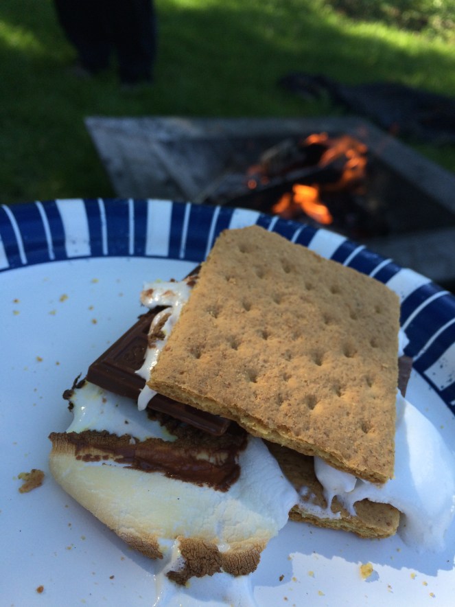 02 03 smores.jpg