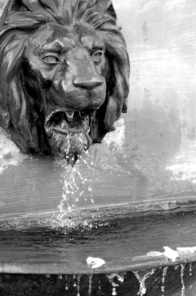 From the Lions MouthBW